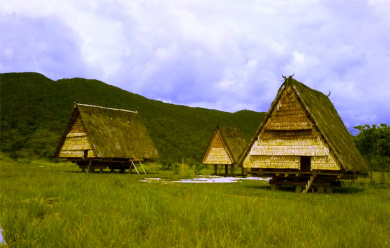 Rumah Adat Tambi kebudayaan sulawesi tengah