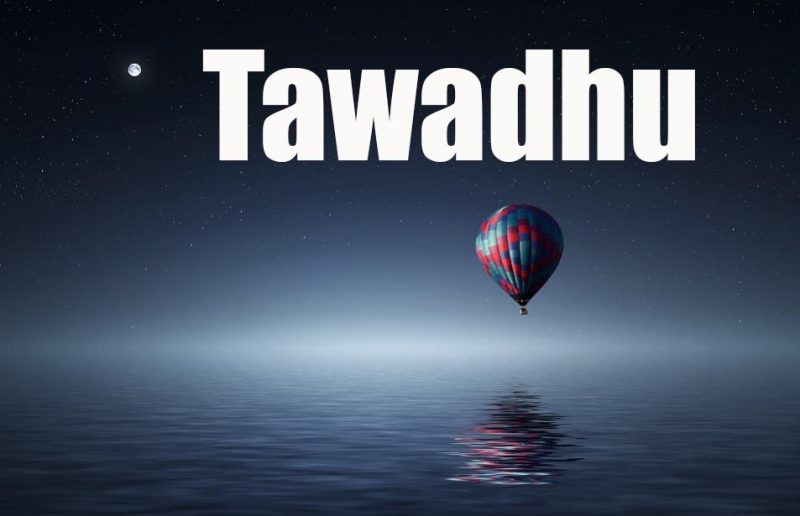 Tingkatan Tawadhu